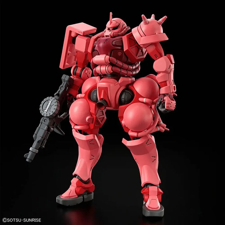 HG 1/144 CHAR&
