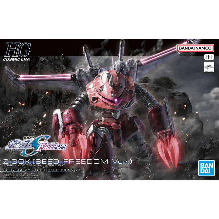 HG 1/144 Z&