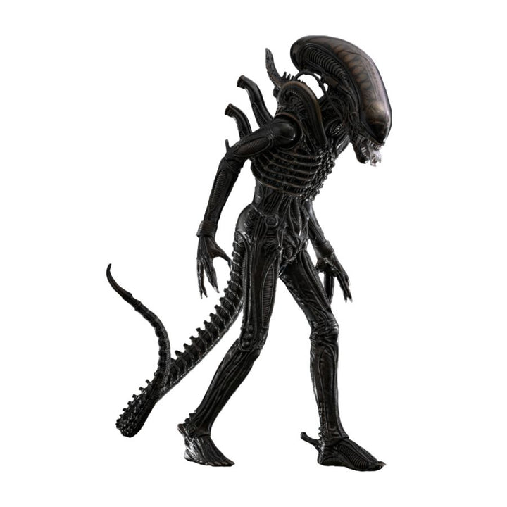 Alien – Alien Big Chap 1:6 Scale Collectable Action Figure